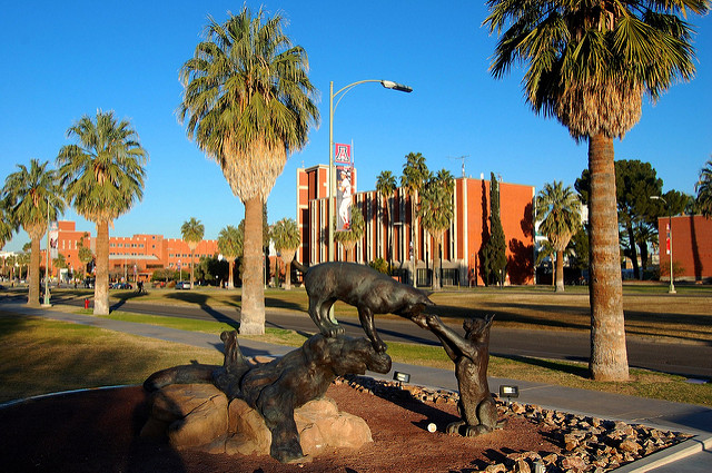 University of Arizona